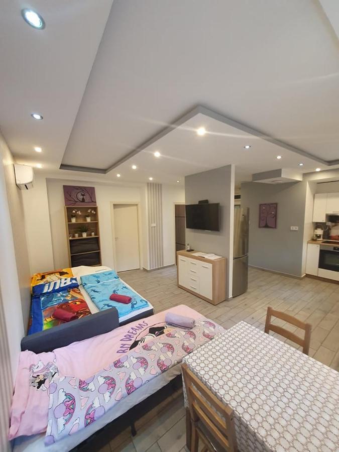 Viola Apartman With Infra Sauna Apartment Seghedin Exterior foto