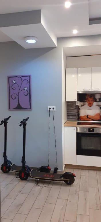 Viola Apartman With Infra Sauna Apartment Seghedin Exterior foto