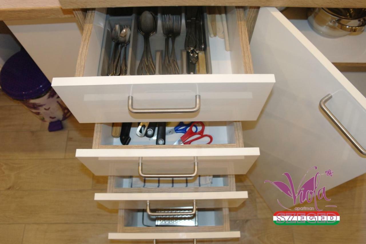 Viola Apartman With Infra Sauna Apartment Seghedin Exterior foto